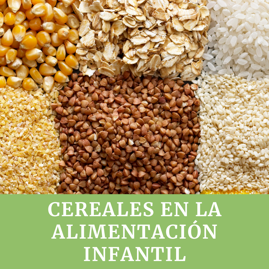 Padre Célula somatica Aprendizaje Cereales en la alimentación infantil – Nerea Pediatra